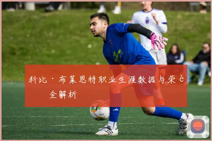 科比·布莱恩特职业生涯数据与荣誉全解析